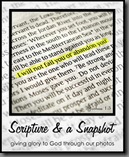 scripture and a snapshot