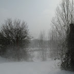 2012-02-06 (1).jpg