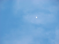 dscn0246.jpg