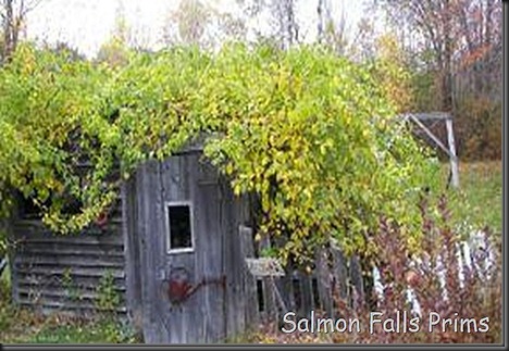 blog-fall blog-fall