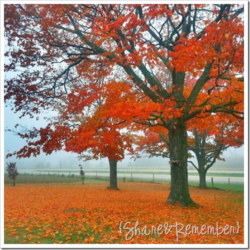 fall
