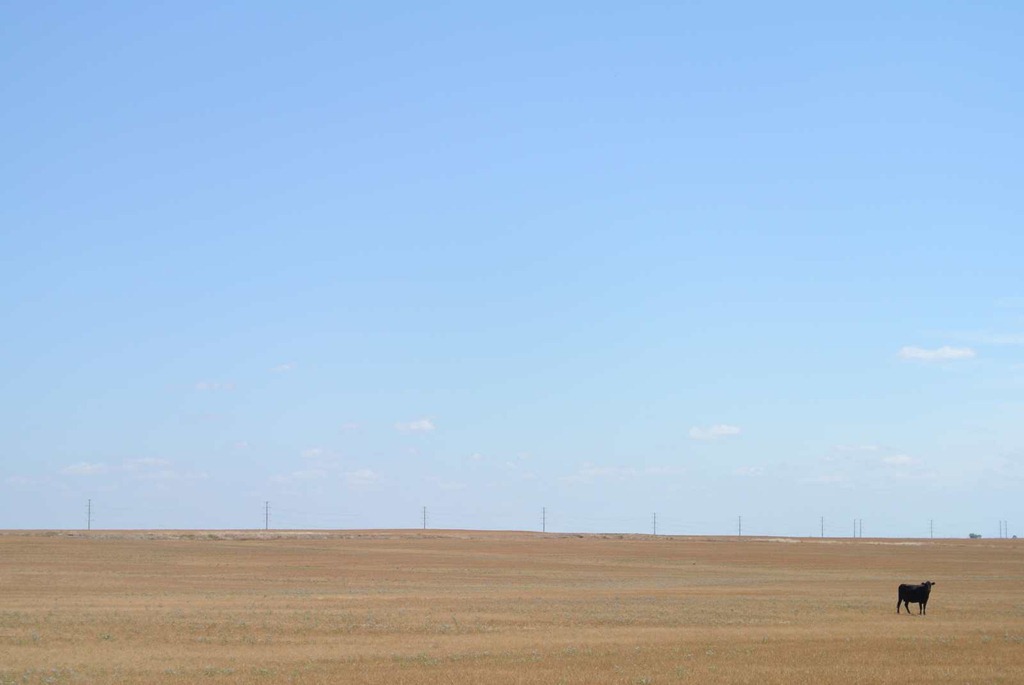 [DSC_3435%255B3%255D.jpg]
