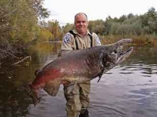 [largest-salmon%255B2%255D.jpg]