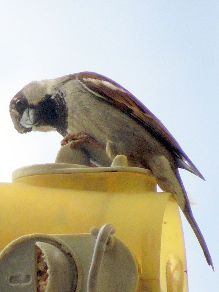 [DSCN5958%255B7%255D.jpg]