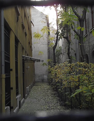 DSCF5780.JPG