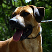 IMG_6451.jpg