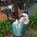 Scarecrows at Tamborine Mountain