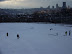 Playing in the Snow
