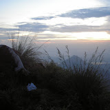 First light on the grassy peak of Parang! (Daniel Quinn, April 2011)