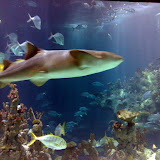 Day trip to The Deep in Hull