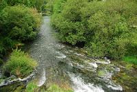 DSC_4115.JPG Photo