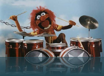 animal_drums