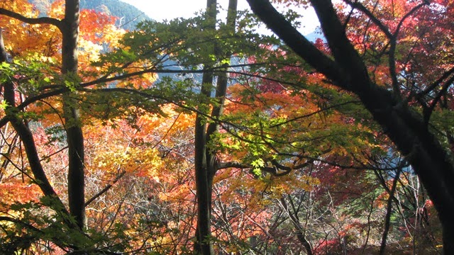 [IMG_4067%255B3%255D.jpg]