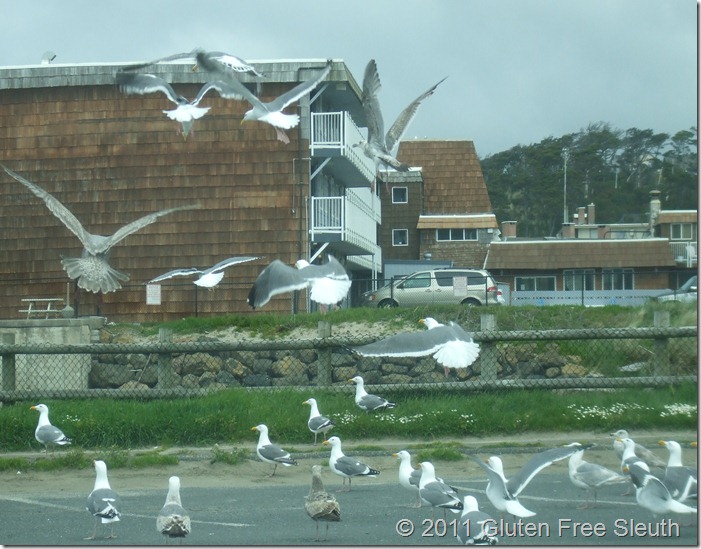 The Birds