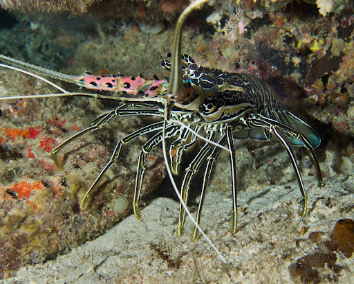P7024190