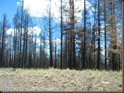 IMG_3994 IMG_3994
