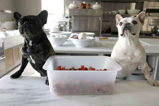 I can't wait for Martha to see our strawberry harvest, Francesca!  Think of all of the delicious things she can make!