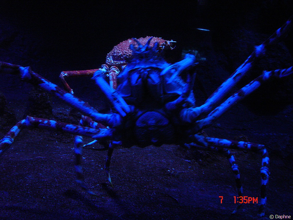 [DSC00237%255B10%255D.jpg]