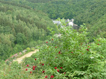 http://lh5.ggpht.com/-mIB50xhkm5Y/TiSOTSOvaQI/AAAAAAAABQM/hsiH6PIpJOY/P1000684.JPG