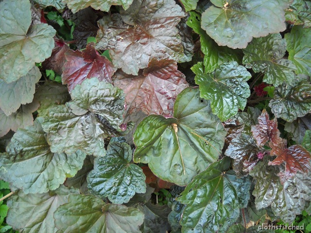 [garden%2520045%255B2%255D.jpg]