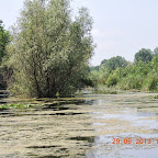 DSCN8301.JPG