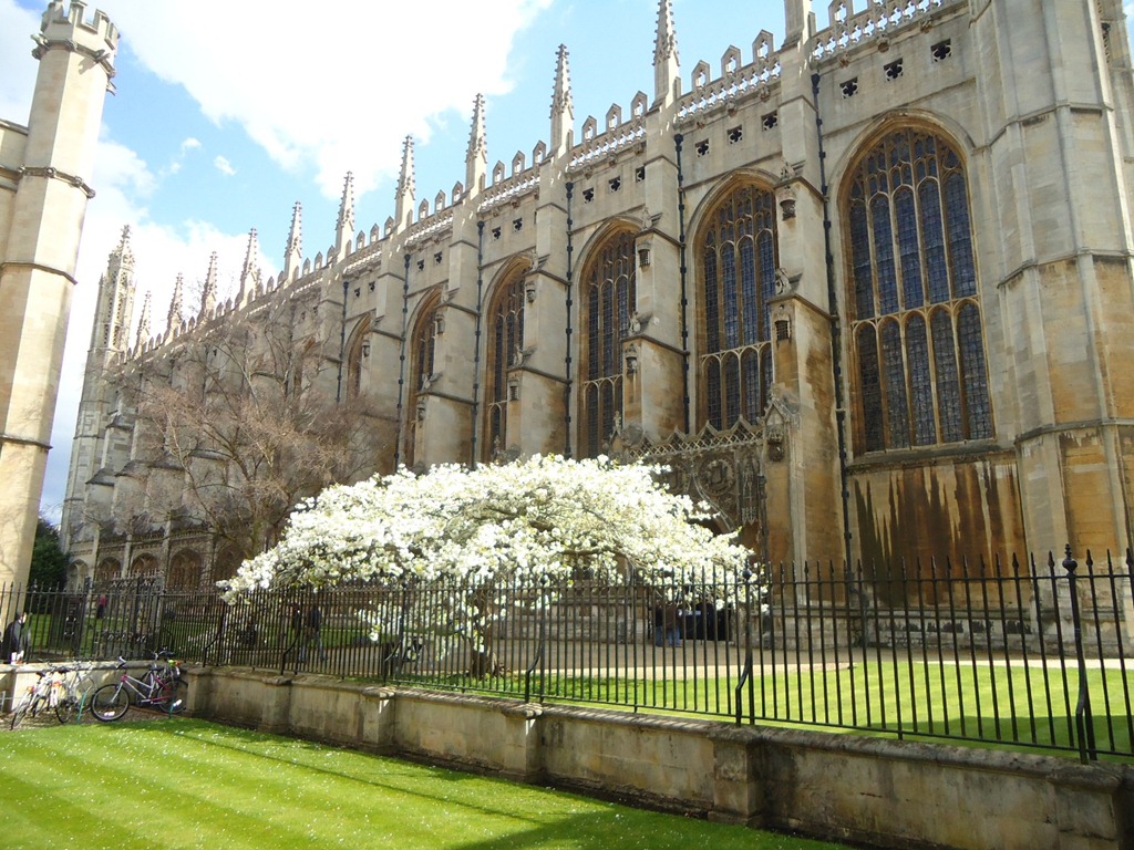 [DSC09400%255B4%255D.jpg]