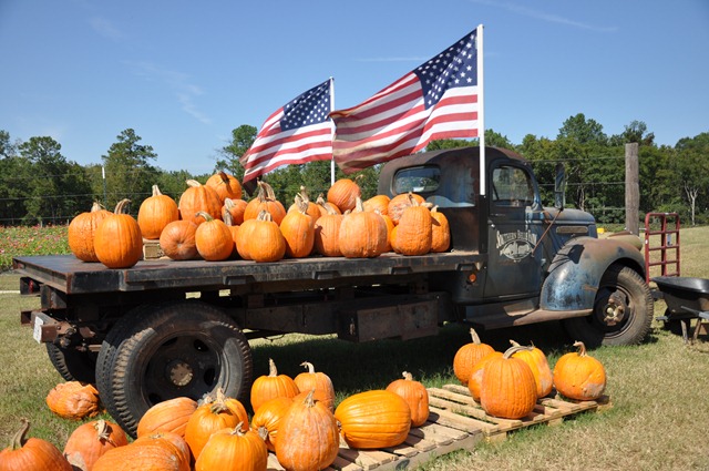[southern%2520belle%2520farm%2520100611%2520%252870%2529%255B3%255D.jpg]