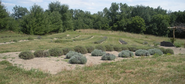 [summer%2520small%2520camera%2520016%255B4%255D.jpg]