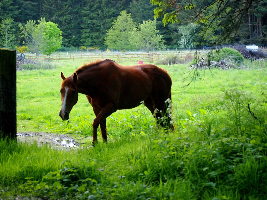 [26%2520May%25202%255B3%255D.jpg]