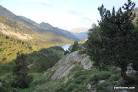 IMG_0843.JPG Photo