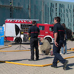 IMG_3455.JPG