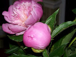 100_4883.JPG