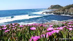 Corse Slideshow