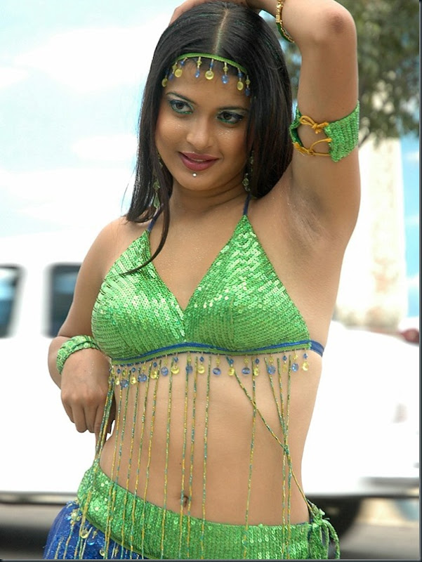 Telugu Actress Nicole Photos-181