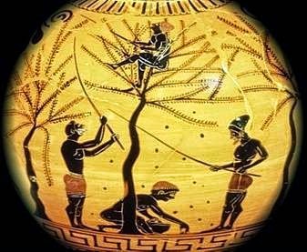 [clip_image004%255B3%255D.jpg]