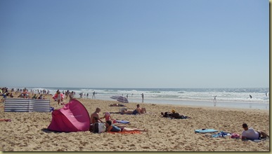 DSC05503 DSC05503
