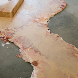 Wax Mark - Wax%252520Mark%252520005.jpg