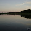 dsc03731.jpg
