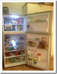 fridge 002