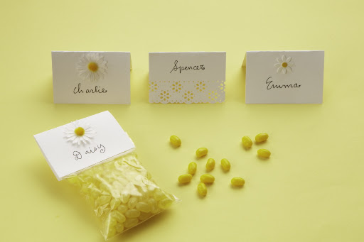 Place card, seating card, or favor bag decoration, these daisy stickers (included in sale) and punch (in the sale) can be used in many ways. The candy and bags are included in the sale.