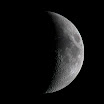 Luna1x1.jpg