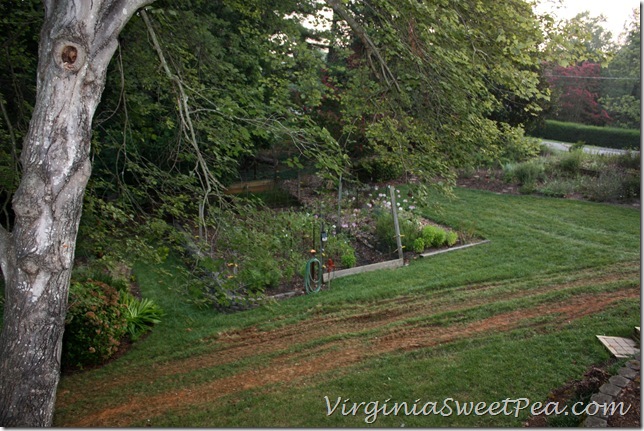 Lawn Damage2 Lawn Damage2