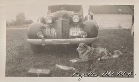 Car and a dog and fish Brainerd Antiques