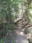 Elk Mountain