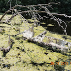 DSCN8292.JPG