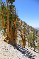 IMGP0050.JPG