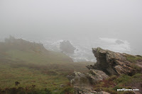 IMG_9368.JPG Photo