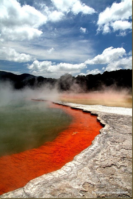 Champagne Pool - Wai-o-tapu thermal wonderland - Rotorua 2