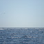 Palermo Montecarlo 2012 107.jpg