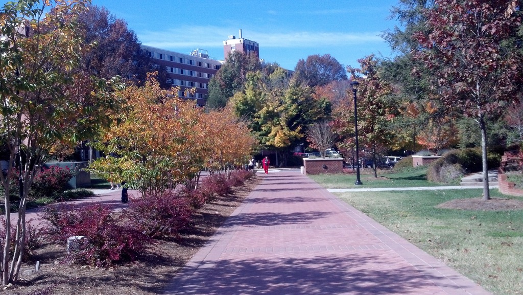 [2012-10-23_11-59-43_81%255B6%255D.jpg]